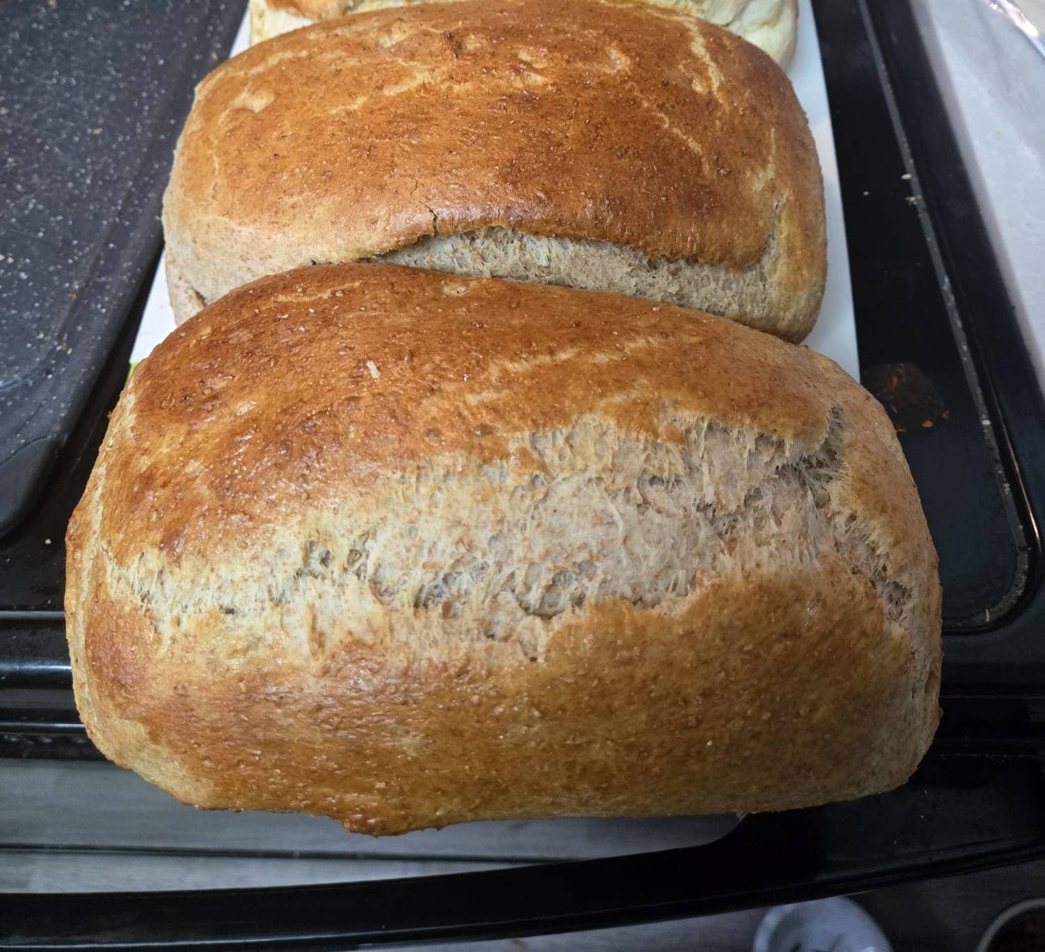Brown Loaf photo 2