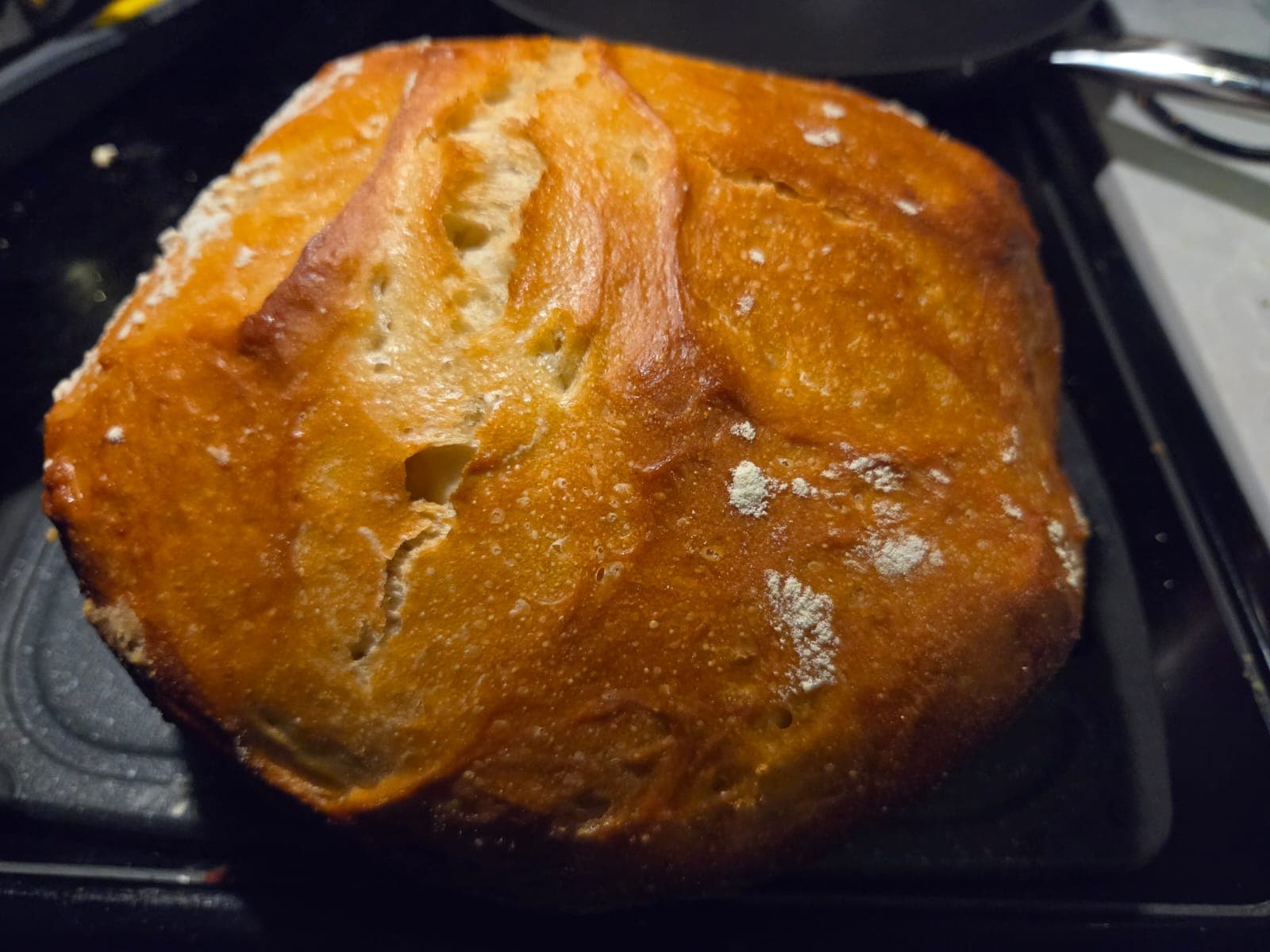 Dutch Oven Sourdough